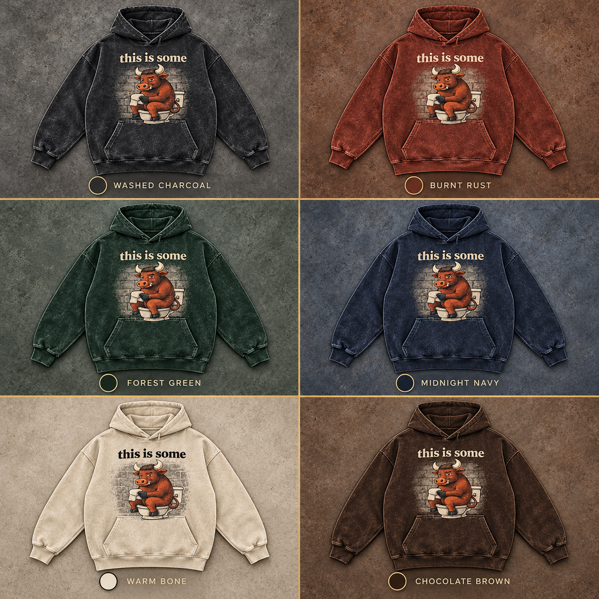 This Is Some BS Hoodie